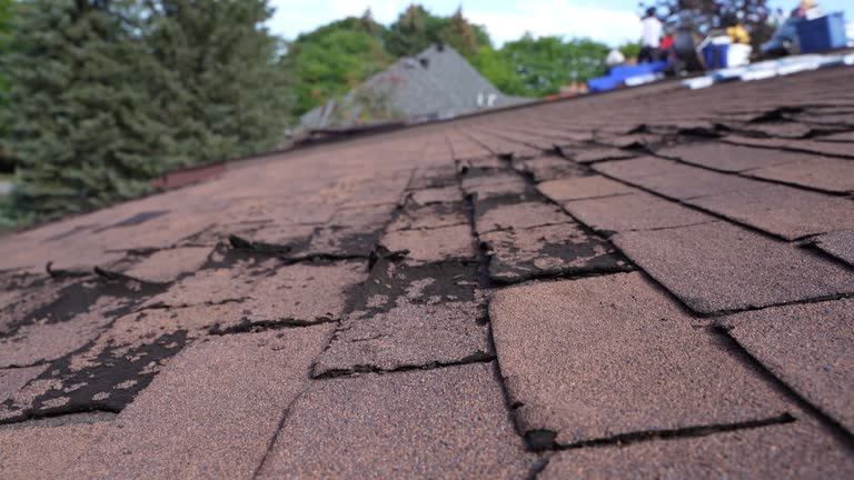 Steel Roofing in Stanfield, OR